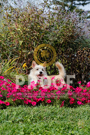 2021-KathleenRileyPhotography-4873