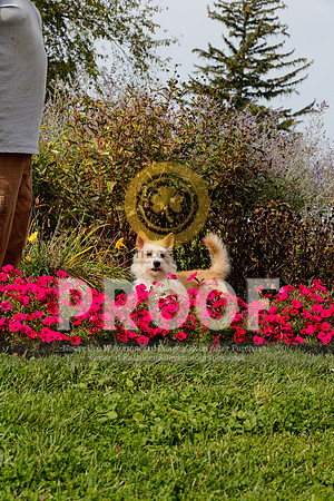 2021-KathleenRileyPhotography-4879