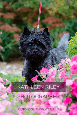 2021-KathleenRileyPhotography-4271