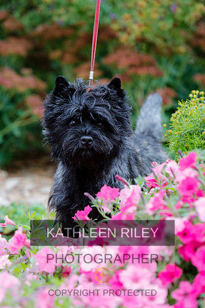 2021-KathleenRileyPhotography-4272