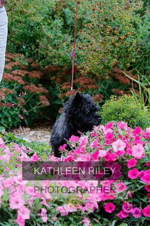 2021-KathleenRileyPhotography-4279