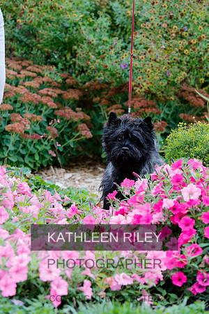 2021-KathleenRileyPhotography-4280