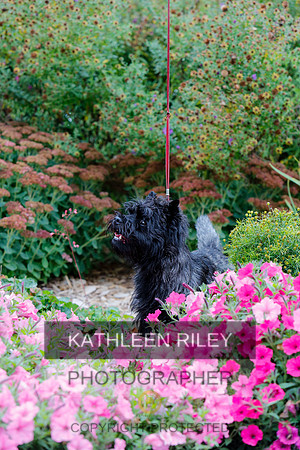 2021-KathleenRileyPhotography-4284