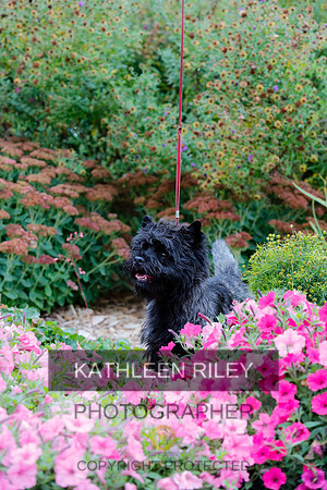 2021-KathleenRileyPhotography-4285