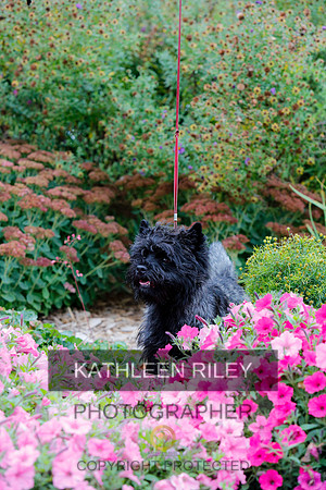 2021-KathleenRileyPhotography-4286