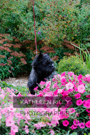 2021-KathleenRileyPhotography-4289