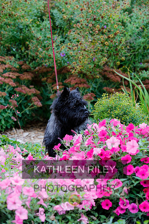 2021-KathleenRileyPhotography-4290