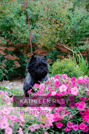 2021-KathleenRileyPhotography-4293
