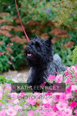 2021-KathleenRileyPhotography-4298