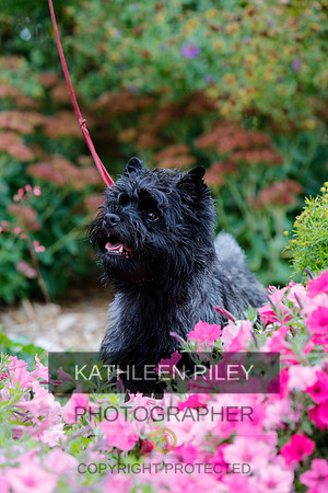 2021-KathleenRileyPhotography-4299