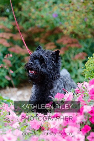 2021-KathleenRileyPhotography-4300