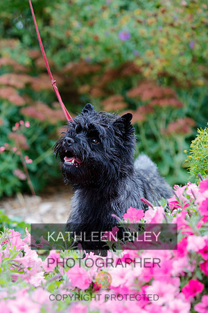 2021-KathleenRileyPhotography-4301