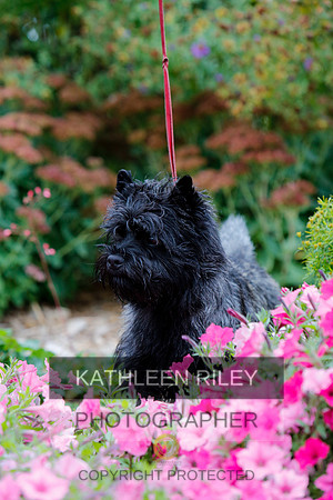 2021-KathleenRileyPhotography-4308