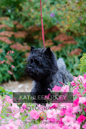 2021-KathleenRileyPhotography-4309