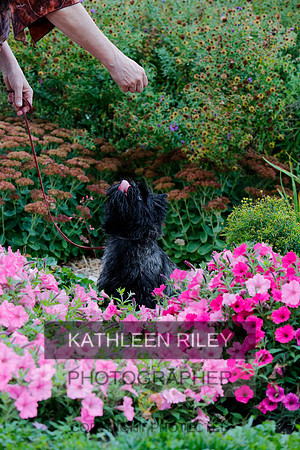 2021-KathleenRileyPhotography-4322