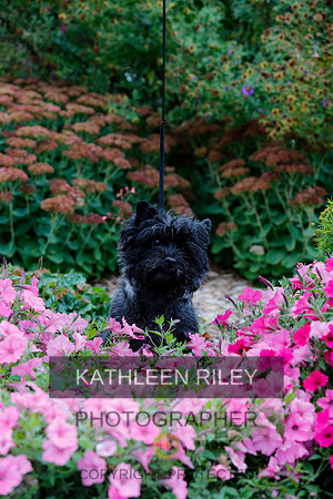 2021-KathleenRileyPhotography-4341