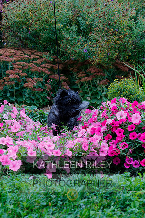2021-KathleenRileyPhotography-4371