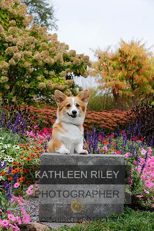 2021-KathleenRileyPhotography-4429
