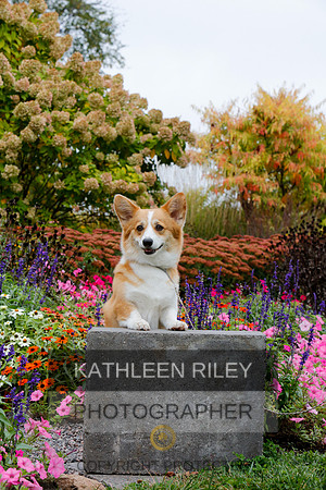 2021-KathleenRileyPhotography-4430