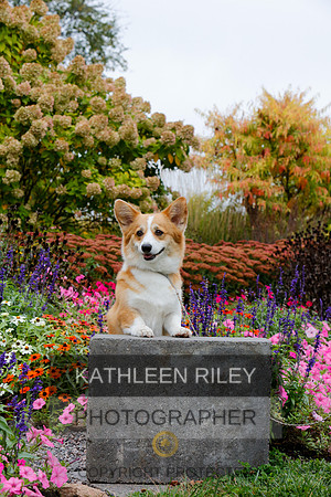 2021-KathleenRileyPhotography-4431