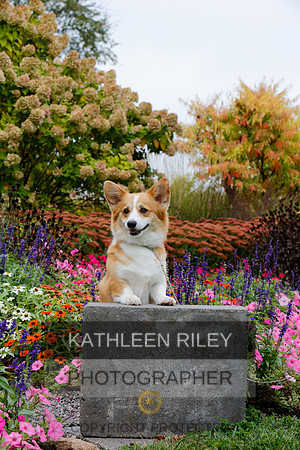 2021-KathleenRileyPhotography-4432
