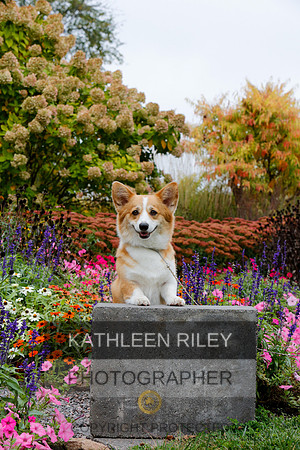 2021-KathleenRileyPhotography-4440