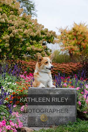2021-KathleenRileyPhotography-4444