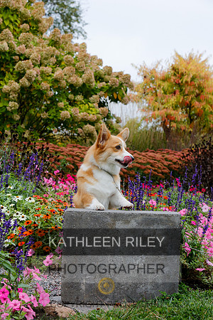 2021-KathleenRileyPhotography-4445
