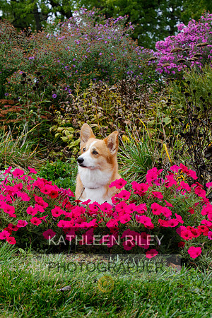 2021-KathleenRileyPhotography-4452
