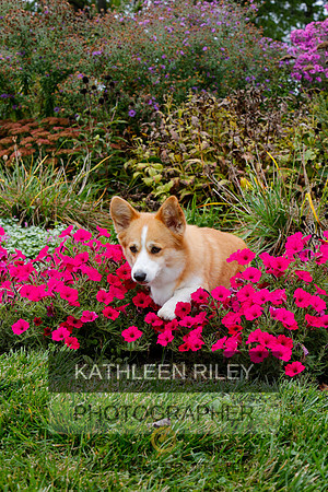 2021-KathleenRileyPhotography-4459