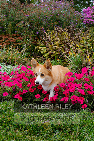 2021-KathleenRileyPhotography-4460