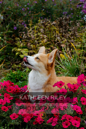 2021-KathleenRileyPhotography-4467