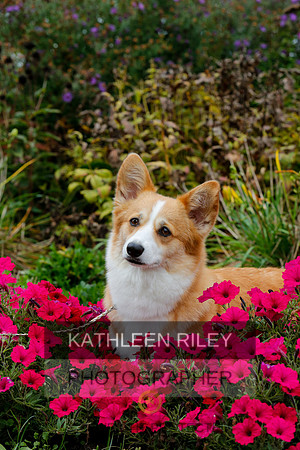 2021-KathleenRileyPhotography-4468