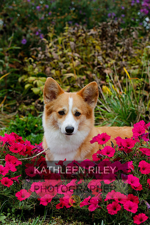2021-KathleenRileyPhotography-4471