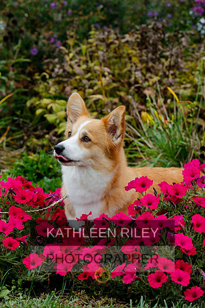 2021-KathleenRileyPhotography-4474
