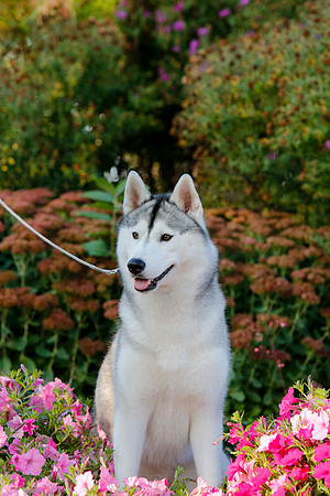 2021-KathleenRileyPhotography-4631