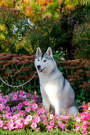 2021-KathleenRileyPhotography-4642