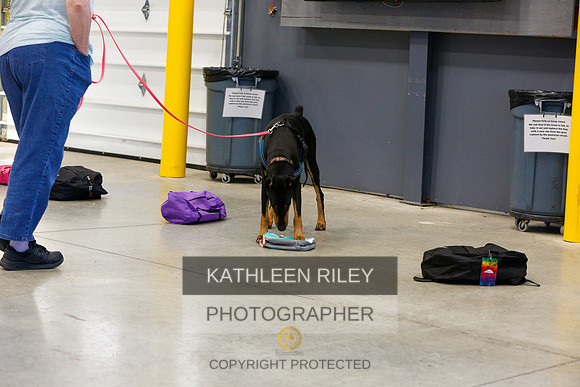 2022-KathleenRileyPhotography-4749