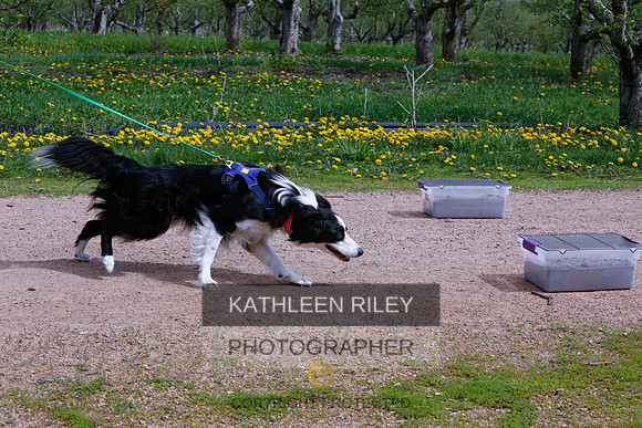 2022-KathleenRileyPhotography-8712
