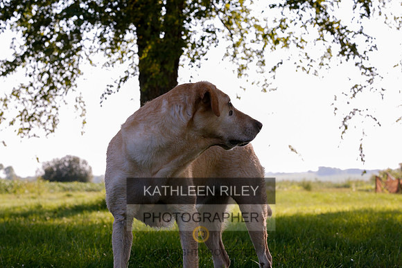 2022-KathleenRileyPhotography-7863