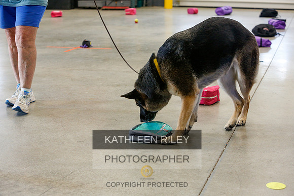 2022-KathleenRileyPhotography-4956