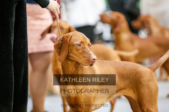 2022-KathleenRileyPhotography-2095