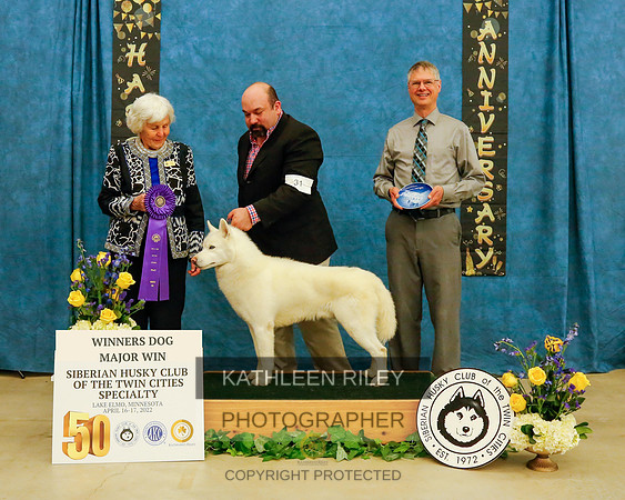 WINNERS DOG MAJOR WIN SUNDAY KathleenRileyPhotography-0106 CORIZMA N WINDRUNR'S MAN OF COLOURS. WS61898901. 2/25/2018. Dog.Breeder: Jean Busaglia-Yurkewicz. By Corizma's Wreaking Havoc - CH Corizma'sN