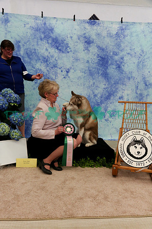 PROOF Sweepstakes Siberian Husky Club of the Twin Cities Judge Wendy Olson