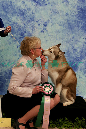 PROOF Sweepstakes Siberian Husky Club of the Twin Cities Judge Wendy Olson
