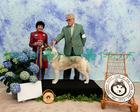 PROOF Specialty Siberian Husky Club of the Twin Cities Judge Barbara Dempsey Alderman