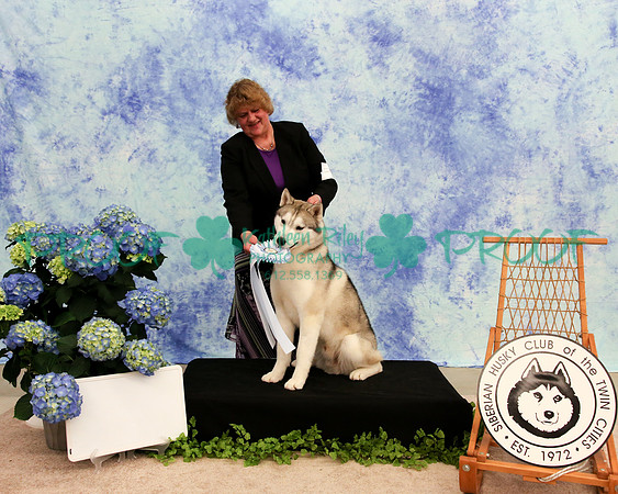 PROOF Sweepstakes Siberian Husky Club of the Twin Cities Judge Wendy Olson