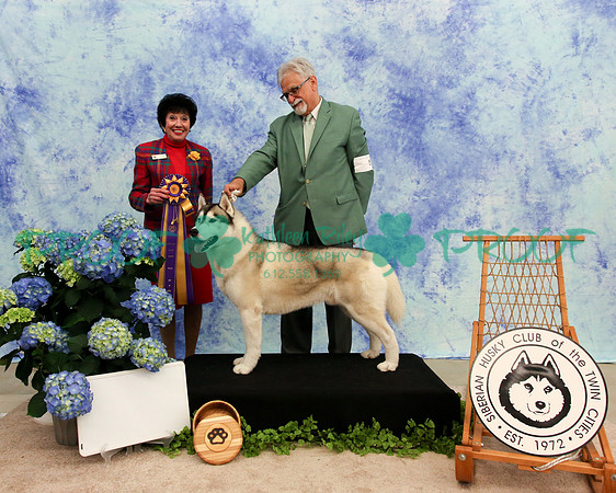 PROOF Specialty Siberian Husky Club of the Twin Cities Judge Barbara Dempsey Alderman