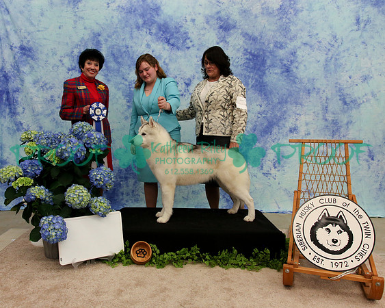 PROOF Specialty Siberian Husky Club of the Twin Cities Judge Barbara Dempsey Alderman