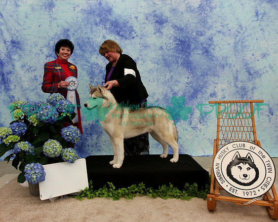PROOF Specialty Siberian Husky Club of the Twin Cities Judge Barbara Dempsey Alderman